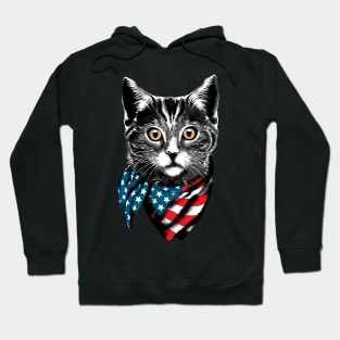 American Cat Wearing USA Flag Scarf Hoodie